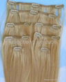 clip in human hair extension 2