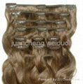 clip in human hair extension 3