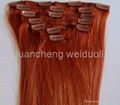 clip in human hair extension 5