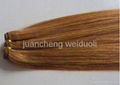 hair weft 1