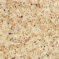 Quartz Stone (Multi Color )-Pink