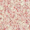 Quartz Stone (Multi Color )-Pink Lady