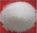 Cationic polyacrylamide (PAM) 1