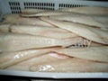 frozen pollock fillet/portion