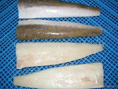 Frozen Pacific hake fillet