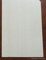 HPL formica sheet 4*8 high pressure laminate 2