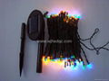 LED String Light 1