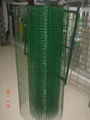 PVC welded wire mesh