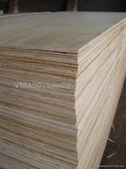 Mixed Wood Plywood from Vietnam