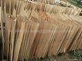 Eucalyptus core Veneer for making Plywood from Vietnam 1
