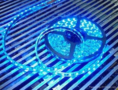 Waterproofing 1M 60LED  5050 Led strip light lamp