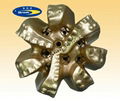 Great PDC bits 4