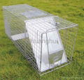 Live Animal Trap