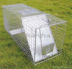 Live Animal Trap