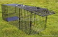 Animal Trap