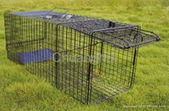 Animal Trap