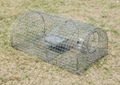 Monarch  Multi-catch Mouse Cage Trap