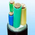 XLPE Insulated N2XY Cable 1