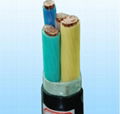 XLPE Insulated N2XY Cable 2