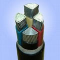 XLPE Insulated Aluminium Power Cable 3