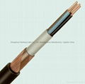 PVC INSULATED CONCENTRIC CABLE