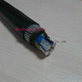 0.6/1KV NA2XBY NA2XRY Armoured Cable 1