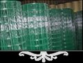 PVC Coated Welded Wire Mesh  2