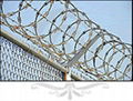 Barbed Wire 5