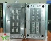 High Precise Mold - Multi Cavity Mold