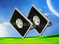 LED flood light