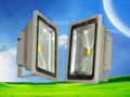 LED flood light