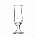 glass goblet 1
