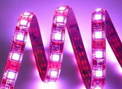 LED Flexi Strip