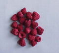 Freeze dried raspberry whole