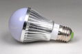 LED Bulb 1