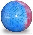 exercise ball 1