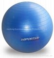 exercise ball 4