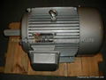 Y series three-phase asynchronous induction motors 1