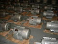 Y series three-phase asynchronous induction motors 5