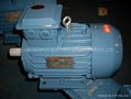 Y2 series three-phase asynchronous motor 1