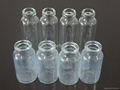 tubular glass vials 1