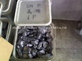 5N polysilicon (999.999% Si)