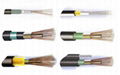 GENERAL OUTDOOR FIBER OPTIC CABLES 1