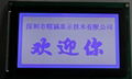 240128BC  T6963控制器液晶显示屏、240128 2