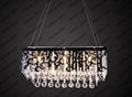 Modern chandelier lamp 1