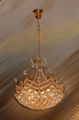 crystal chandelier lamp 5