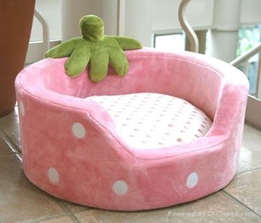 Strawberry pet bed