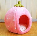 strawberry pet house 1