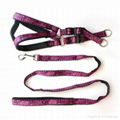 dog harness