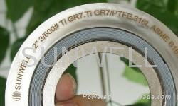 Special material spiral wound gasket